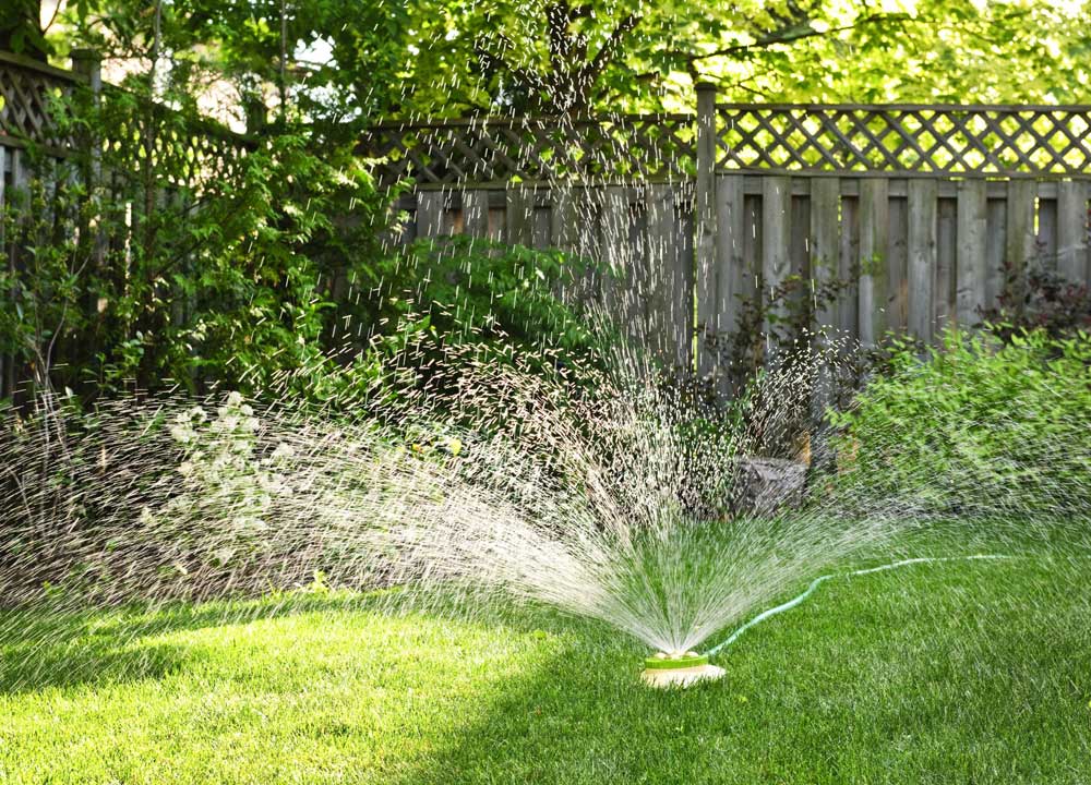 Home Decor and Garden